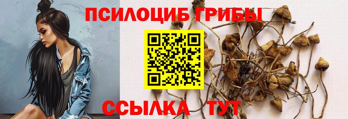 Галлюциногенные грибы MAGIC MUSHROOMS  Вход с VPN  Псилоцибиновые грибы мухоморы  Кинель 