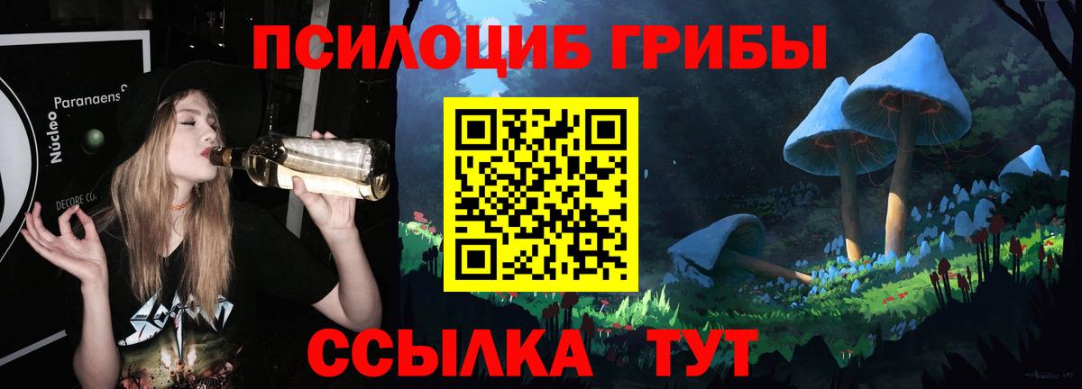 Псилоцибиновые грибы Psilocybine cubensis Кинель